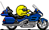 :  pc93fjj8hsgdtap.gif
: 934

:  7.0 