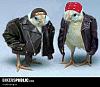     
:  b8b460e9e87fe09a31068f15ed4f24e5.jpg
: 1674
:	22.6 
ID:	2079
