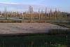    
:  IMAG0330.jpg
: 1056
:	189.1 
ID:	41268