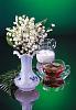     
:  tea-with-flowers_002.jpg
: 398
:	66.5 
ID:	42394