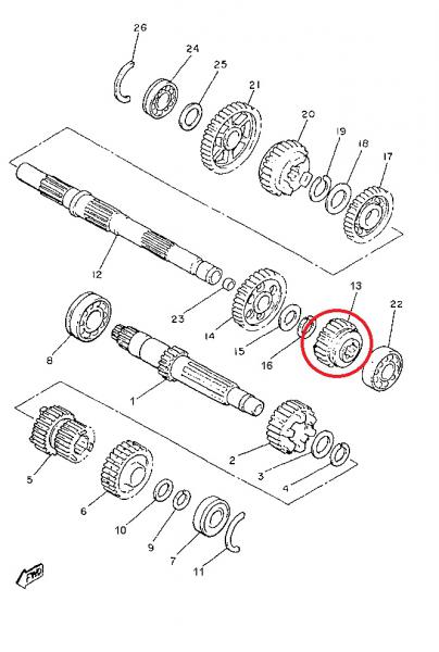 21